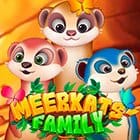 Meerkats Family