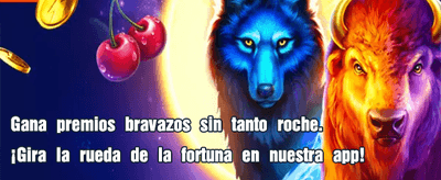 Premios Increíbles en Bingo banner